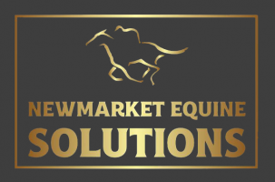 Newmarket-Equine-Solutions-Logo copy